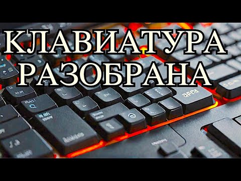 Видео: ЧТО ВНУТРИ БЕСПРОВОДНОЙ КРУТОЙ КЛАВИАТУРЫ ДЛЯ ПК! ЧТО ИНТЕРЕСНОГО Я НАШЕЛ?