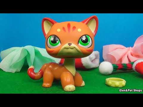 Видео: САМЫЕ НОВЫЕ СТОЯЧКИ 2020 ПРИЕХАЛИ КО МНЕ!