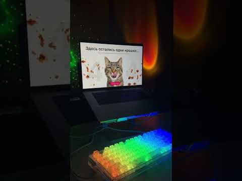 Видео: 404 для ресторана еды