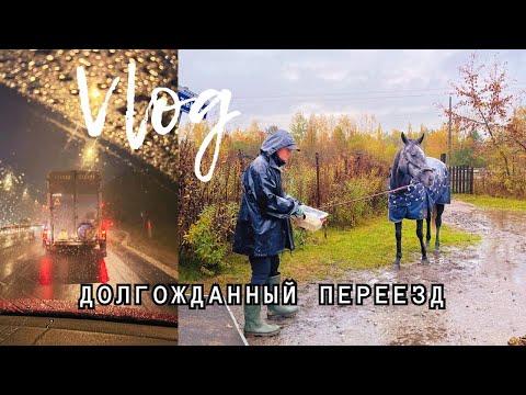 Видео: Долгожданный переезд