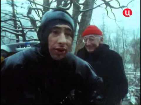 Видео: 36 1993 Дунай III   О чем плачет Дунай - Подводная одиссея команды Кусто