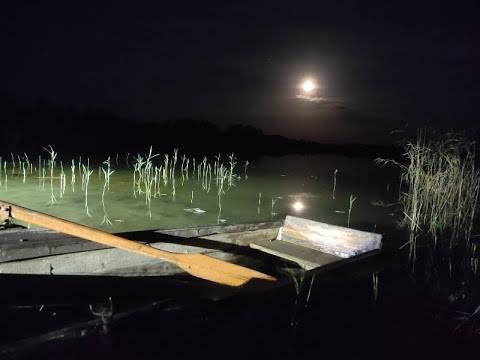 Видео: Ловля подлещика на резинку. На Рыбалку,для души!!!