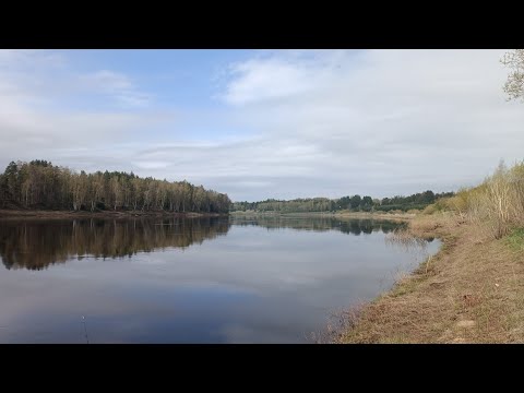 Видео: 20.04.2024 Даугава, Васаргелишки