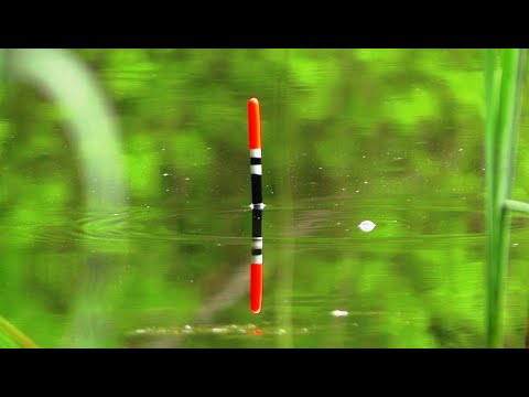 Видео: ТАКИЙ КЛЬОВ, ЩО ЗАБУВ ПРО ВСЕ!🐟КРУПНИЙ КАРАСЬ НА ПОПЛАВОК НА УДОЧКУ🎣