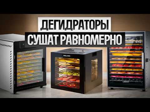 Видео: ТОП—5: Лучшие ДЕГИДРАТОРЫ (2025) || Рейтинг лучших сушилок для овощей, фруктов, мяса и рыбы