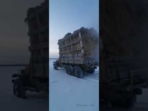 Видео: Легендарный ЗИЛ-157(Краб) в  - - 37°-40° морозе. Якутия, Кобяйский улус