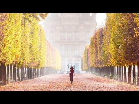 Видео: AUTUMN SKETCHES 🍁ОСЕННИЕ ЗАРИСОВКИ 🍁 КРАСКИ ОСЕНИ🎶