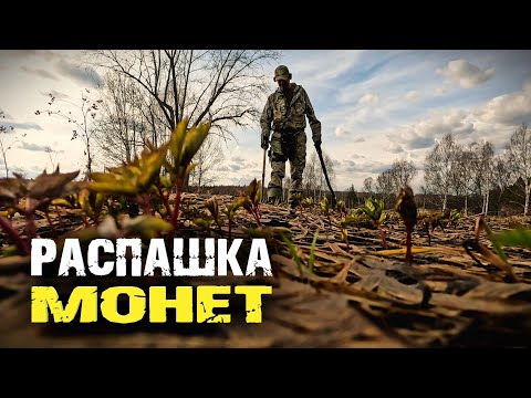Видео: Кладовая распашка монет Николая второго