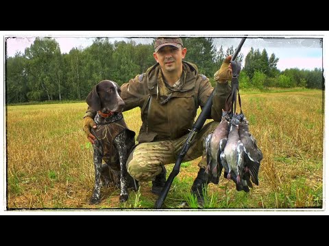 Видео: ОХОТА НА ВЯХИРЯ 2023/ШИКАРНЫЕ НАЛЕТЫ