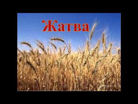 Видео: Для чего нужна великая скорбь ? Рождение и смерть .Очищение Невесты для пришествия Господа .