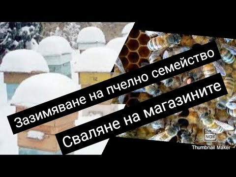 Видео: Зазимяване на пчелно семейство, клип 2