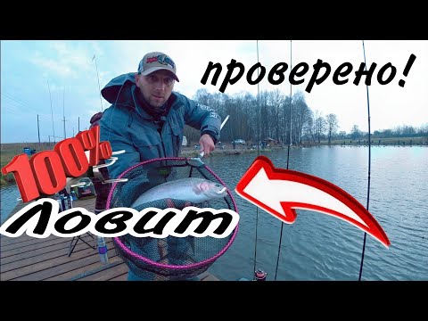 Видео: ФОРЕЛЬ ЛЮБИТ ЭТУ ПРИМАНКУ.  Ловля форели осенью. Рыбалка в Тихой Заводи.