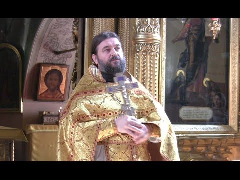 Видео: О духовном упорстве. Мало знать Заповеди, надо их исполнять!!!. Прот.Андрей Ткачёв (17.06.2017г.)