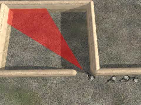 Видео: Войти и очистить комнату | CQB | Армейские карточки