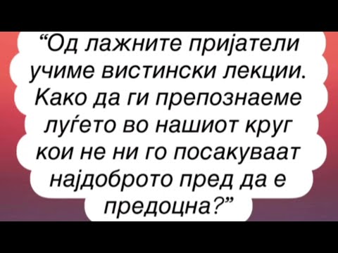 Видео: Од лажните пријатели учиме вистински лекции!!!