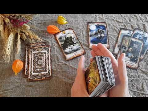 Видео: ЧЕГО ОН ХОЧЕТ?
