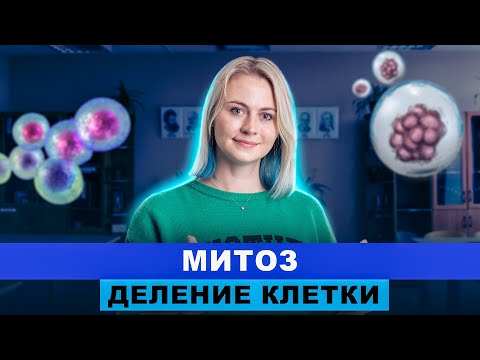 Видео: Деление клетки: Митоз | ИНТЕНСИВ | Ксения Напольская
