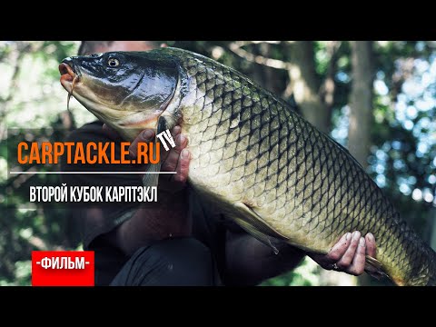 Видео: Карпфишинг: Кубок Карптэкл 2019 - Соревнования по ловле Карпа. Эпизод 12
