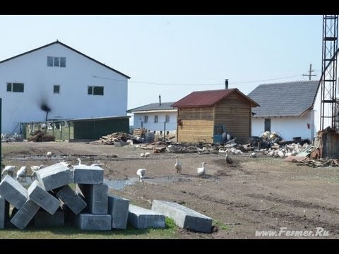 Видео: Фермерское хозяйство Терешата. Экскурсия по хозяйству