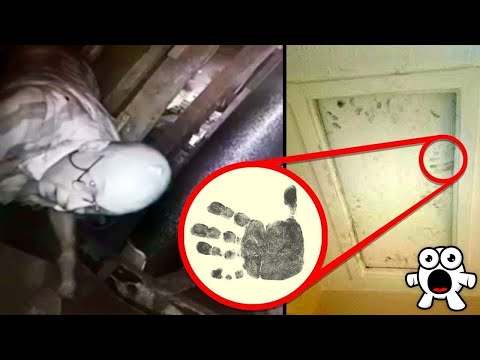 Видео: Незнакомцы, Которые Жили В Чужих Домах