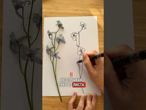Видео: 3 правила чтобы начать рисовать  легкие и быстрые скетчи