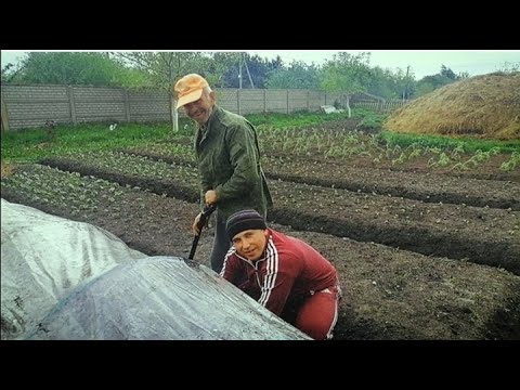 Видео: У нас ПОПОЛНЕНИЕ! Жизнь в деревне. Дела Семейные