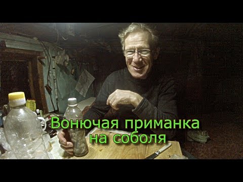 Видео: Вонючая приманка на соболя