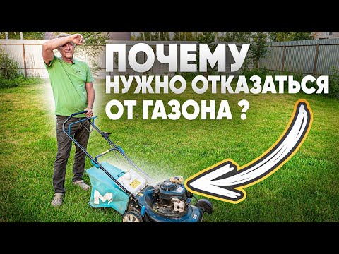 Видео: МИНУСЫ ГАЗОНА. Чем можно заменить газон на участке? Альтернатива газону.