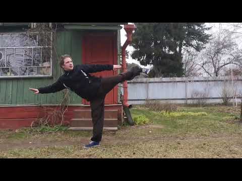 Видео: 18 ладоней архата. Shaolin shiba luohan zhang. 1 дорожка