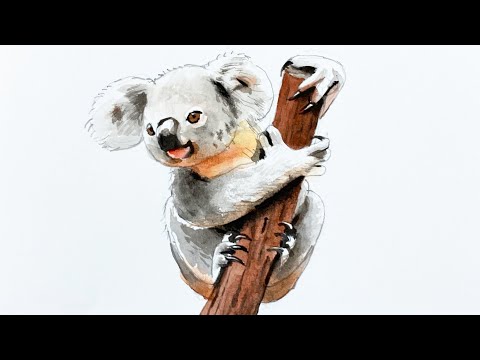 Видео: Расслабляющее рисование: как нарисовать коалу акварелью