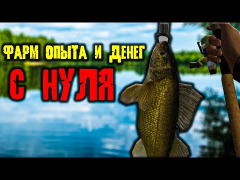 Видео: ФАРМ ДЕНЕГ И ОПЫТА РАБОТАЕТ! В 2025 Fishing Planet #1