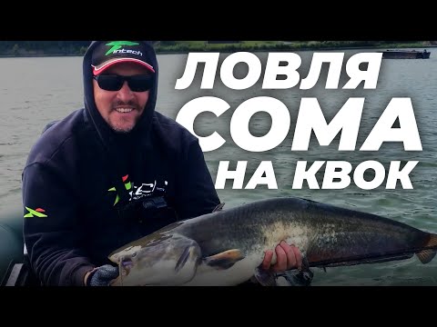 Видео: Ловля сома на квок