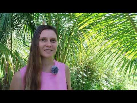 Видео: Сменила нишу в дизайне / Презентации, стоки