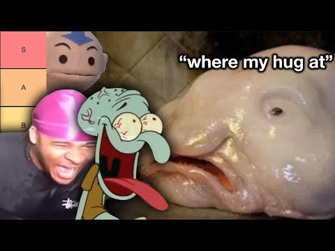 Видео: Рейтинг самых капризных животных в животном мире