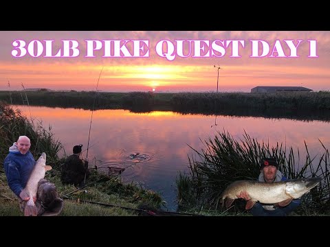 Видео: Ловля щуки в Великобритании, река 30, квест, день 1