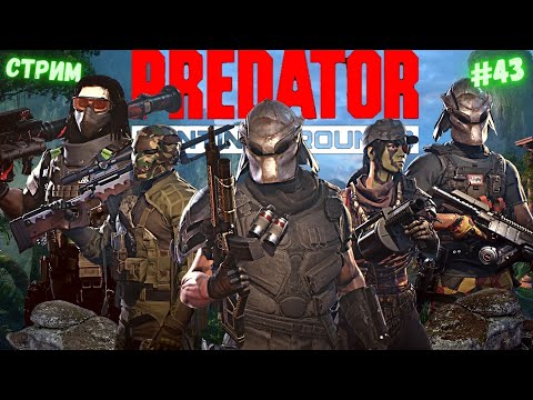 Видео: Predator Hunting Grounds ➤ СТРИМ #43 #predator