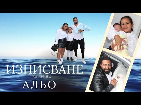 Видео: Изписване на Принц Альо гр.Перущица 2025г.