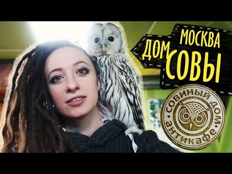 Видео: АНТИкафе СОВИНЫЙ ДОМ || Москва || Цены