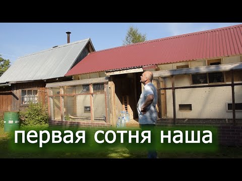 Видео: Пятая тренировка. летим  100 км. Спортивные голуби радуют. Бойные растут