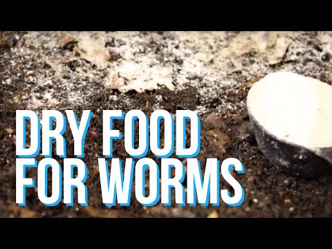 Видео: Домашний сухой корм для червей (Worm Chow)