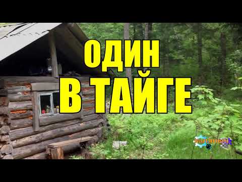 Видео: ОДИН В ТАЙГЕ | ОДИНОЧЕСТВО В ЛЕСУ | ОХОТА НА СОБОЛЯ | ПРИЁМ ПУШНИНЫ | ЖИЗНЬ ПРОЖИТА