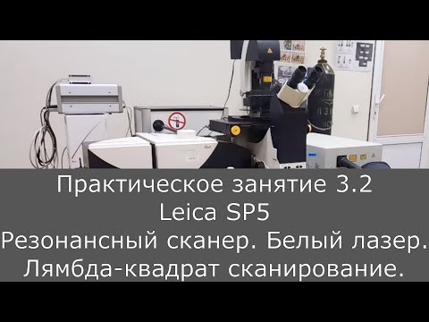 Видео: Оптическая микроскопия. Практика 3.2.