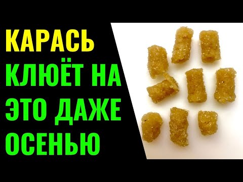 Видео: Насадка для рыбалки на КАРАСЯ, КАРПА, ПЛОТВУ. Насадка работает даже осенью.