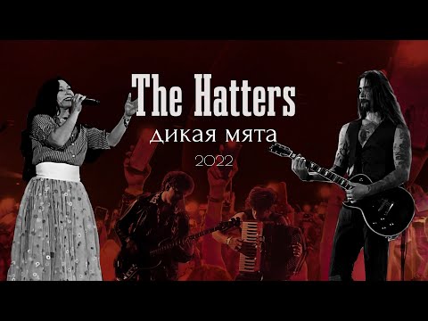 Видео: THE HATTERS (Шляпники) Live 4k | Концерт На Фестивале ДИКАЯ МЯТА | 18.06.2022