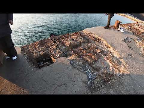 Видео: ЗАРГАНИ НА ПИЛКЕР МАРТ МЕСЕЦ С ULTRA LIGHT SILVERNA LAGO 65