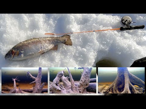 Видео: ОХОТА НА ФОРЕЛЬ БЕГЛЯНКУ В КОРЯЖНИКЕ! ПОДВОДНЫЕ СЪЕМКИ! РЫБАЛКА В КАРЕЛИИ 2022