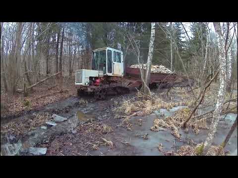 Видео: T-70 в лесу 2023