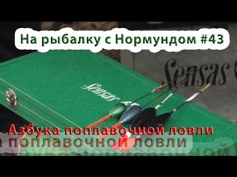 Видео: Азбука поплавочной ловли : На рыбалку с Нормундом #43