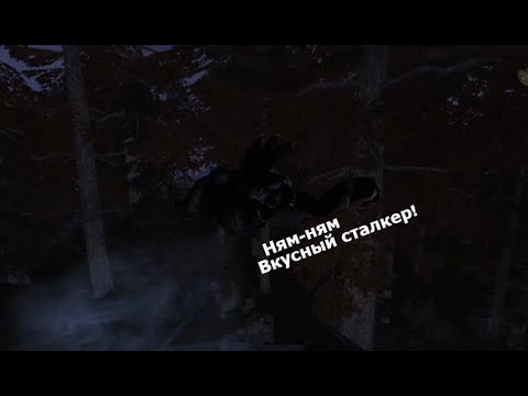 Видео: Убил химеру в Рыжем Лесу! STALKER Dead Air Rebalance