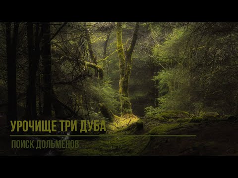 Видео: Урочище Три Дуба - Поиск Дольменов